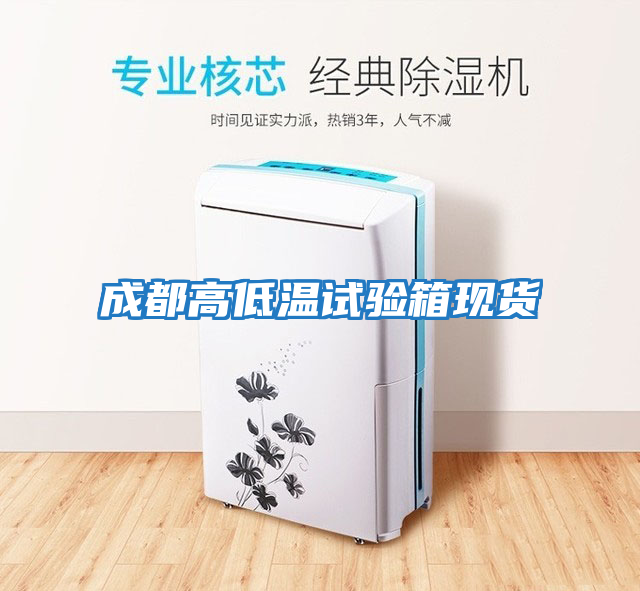 成都高低溫試驗箱現貨