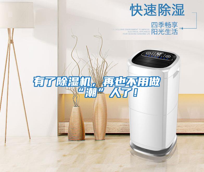 有了除濕機,再也不用做“潮”人了!