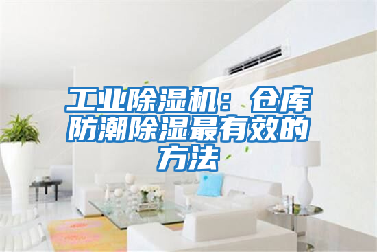 工業除濕機:倉庫防潮除濕最有效的方法