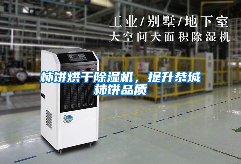 柿餅烘干除濕機,提升恭城柿餅品質