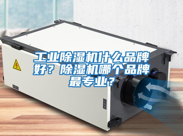 工業除濕機什么品牌好？除濕機哪個品牌最專業？