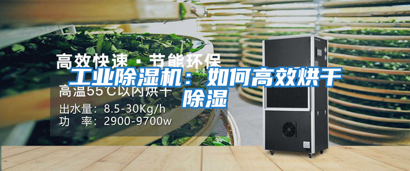 工業除濕機：如何高效烘干除濕