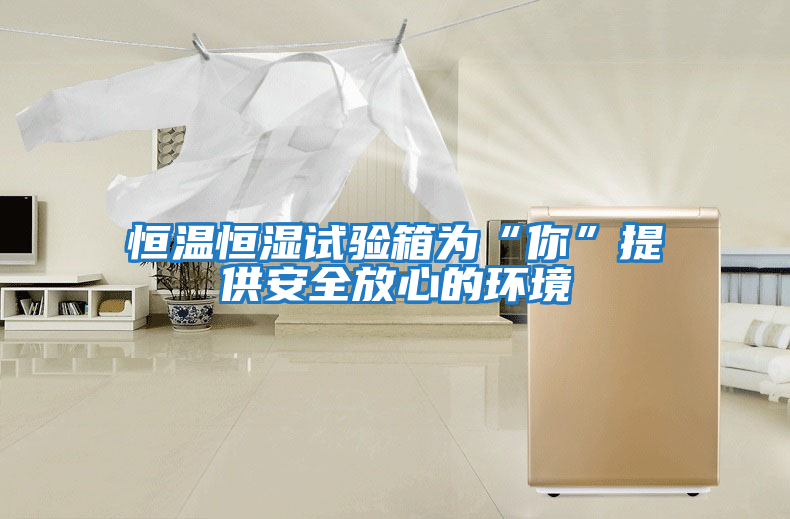 恒溫恒濕試驗箱為“你”提供安全放心的環境