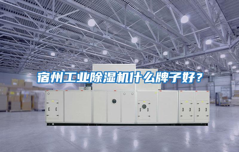宿州工業(yè)除濕機什么牌子好？