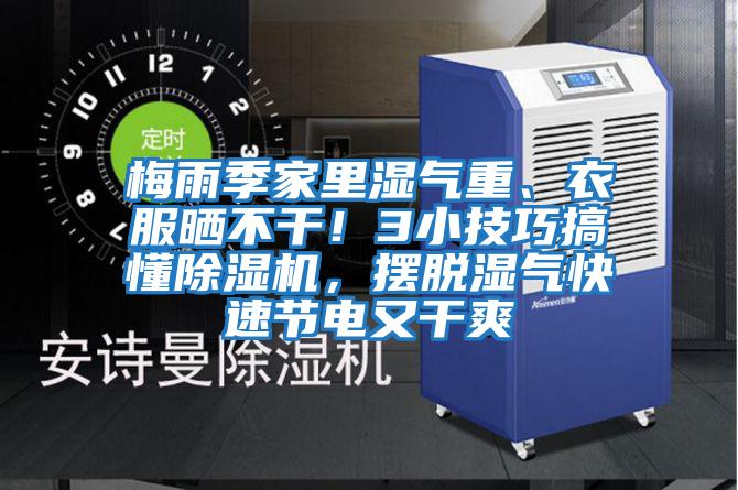 梅雨季家里濕氣重、衣服曬不干!3小技巧搞懂除濕機,擺脫濕氣快速節(jié)電又干爽