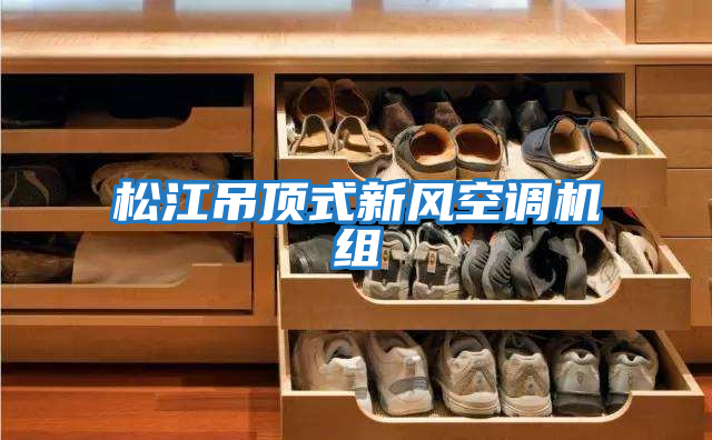 松江吊頂式新風空調(diào)機組