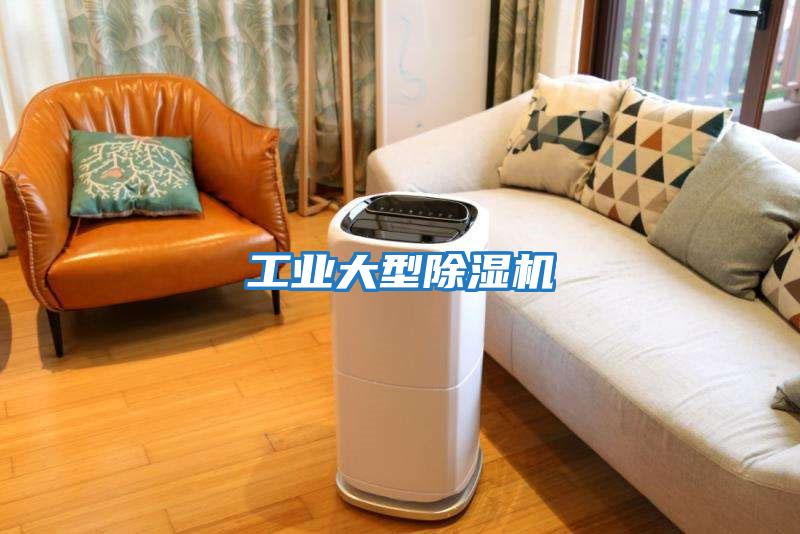 工業大型除濕機