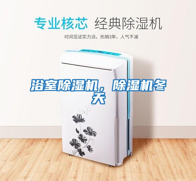 浴室除濕機,除濕機冬天