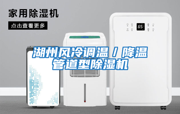 湖州風冷調溫/降溫管道型除濕機