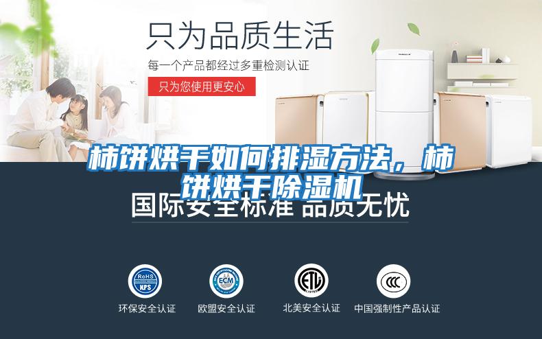 柿餅烘干如何排濕方法,柿餅烘干除濕機