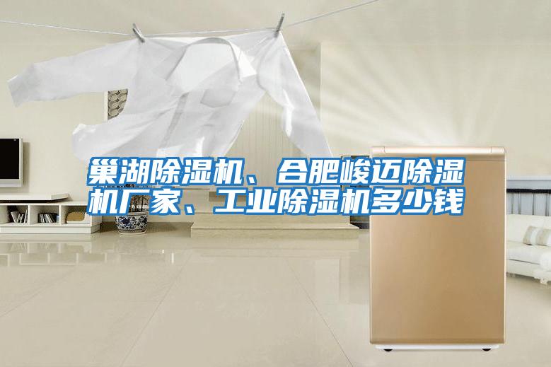 巢湖除濕機(jī)、合肥峻邁除濕機(jī)廠家、工業(yè)除濕機(jī)多少錢