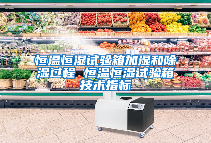 恒溫恒濕試驗箱加濕和除濕過程 恒溫恒濕試驗箱技術指標