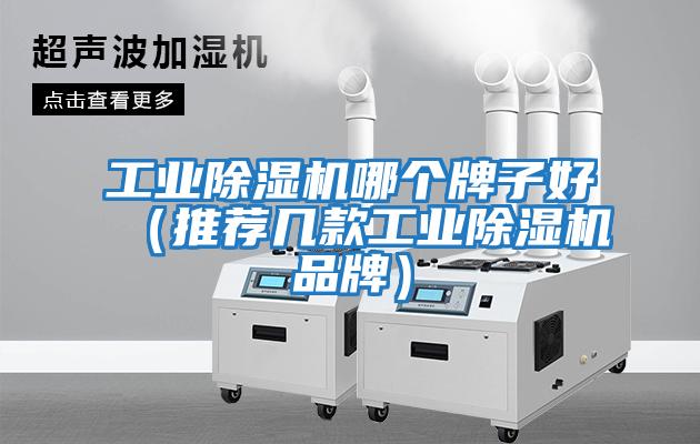 工業(yè)除濕機哪個牌子好（推薦幾款工業(yè)除濕機品牌）