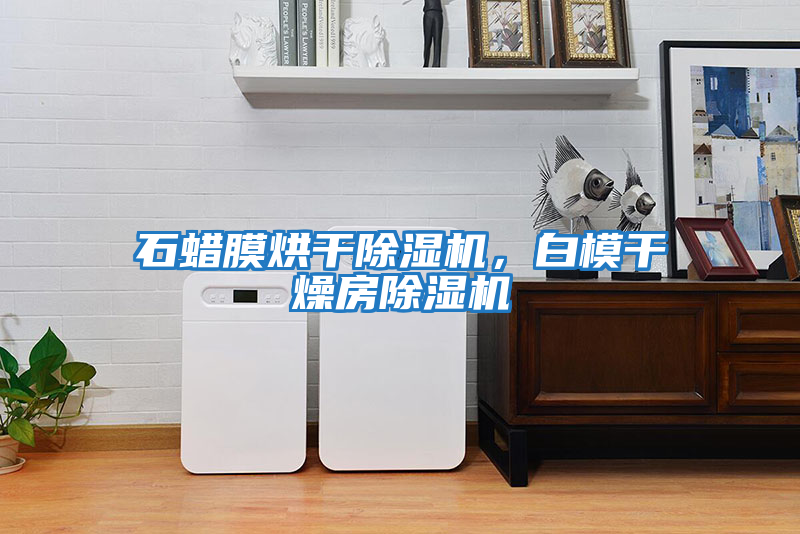 石蠟膜烘干除濕機，白模干燥房除濕機