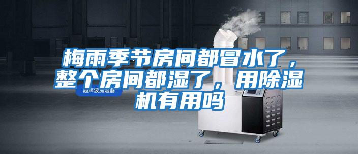 梅雨季節(jié)房間都冒水了,整個房間都濕了,用除濕機有用嗎