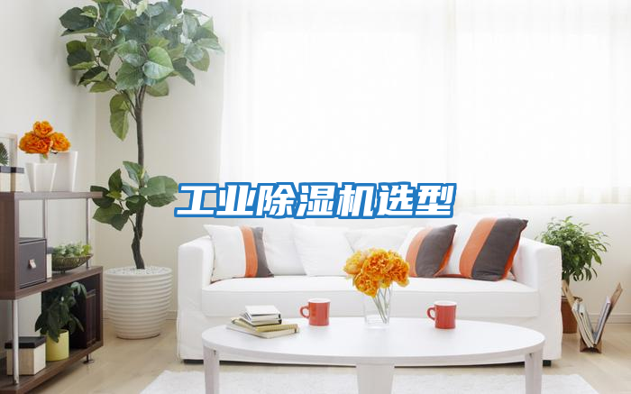工業除濕機選型