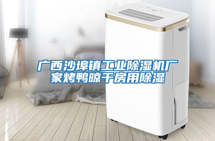 廣西沙埠鎮工業除濕機廠家烤鴨晾干房用除濕