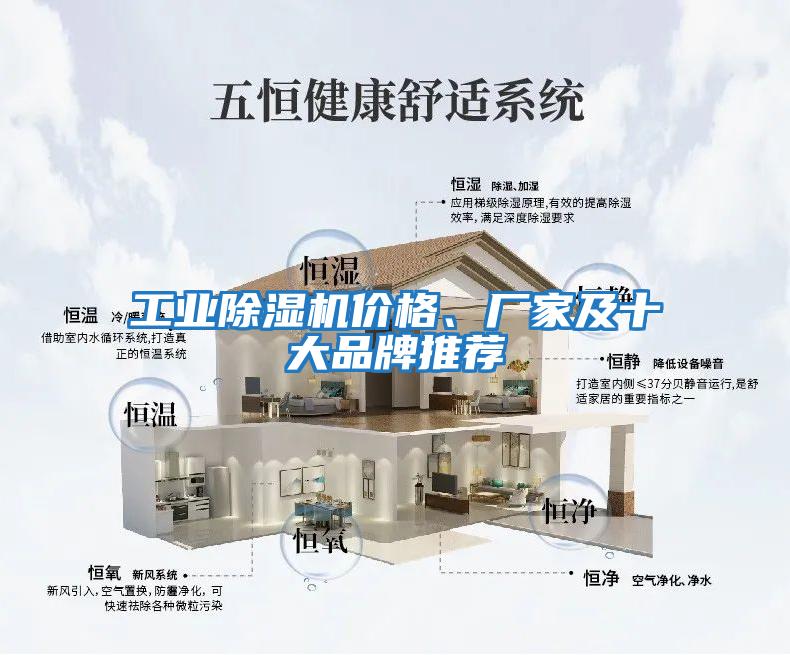 工業(yè)除濕機價格、廠家及十大品牌推薦