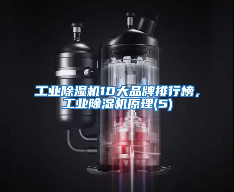 工業除濕機10大品牌排行榜，工業除濕機原理(5)
