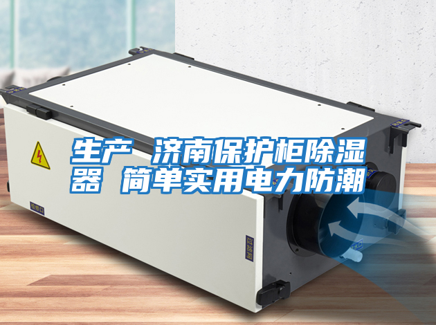 生產(chǎn) 濟(jì)南保護(hù)柜除濕器 簡單實(shí)用電力防潮