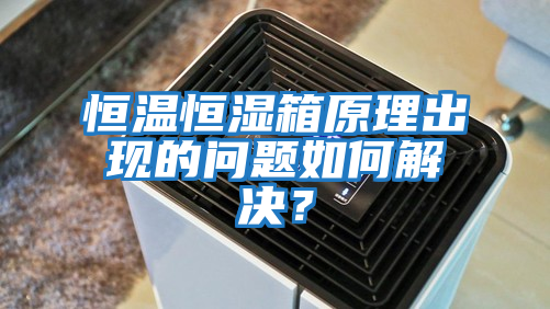 恒溫恒濕箱原理出現的問題如何解決?