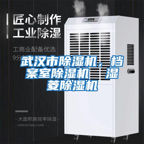 武漢市除濕機,檔案室除濕機 濕菱除濕機