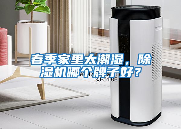 春季家里太潮濕,除濕機哪個牌子好?