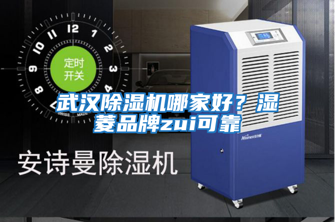 武漢除濕機哪家好？濕菱品牌zui可靠