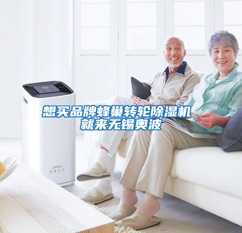 想買品牌蜂巢轉輪除濕機 就來無錫奧波
