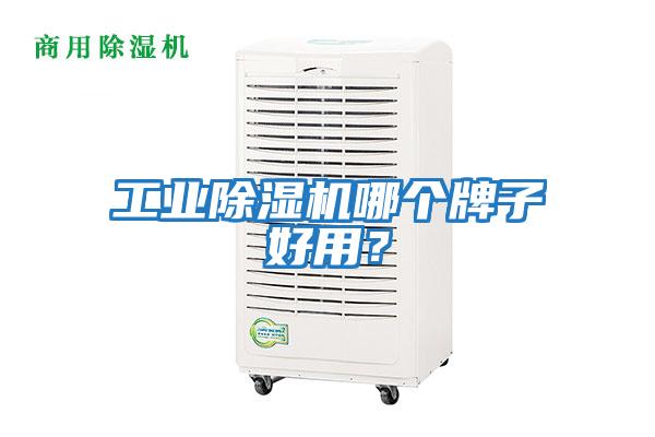工業除濕機哪個牌子好用？