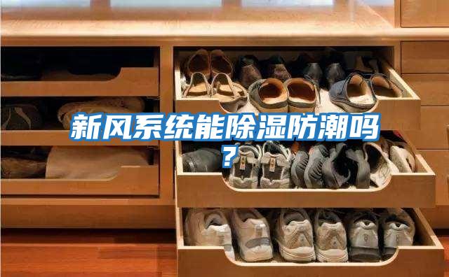 新風系統能除濕防潮嗎？