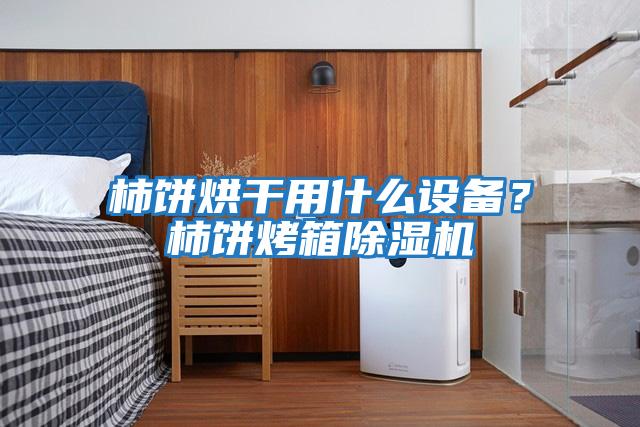 柿餅烘干用什么設備?柿餅烤箱除濕機