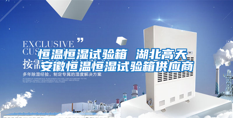 恒溫恒濕試驗箱 湖北高天 安徽恒溫恒濕試驗箱供應(yīng)商