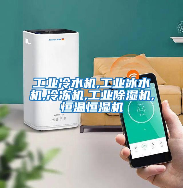 工業冷水機,工業冰水機,冷凍機,工業除濕機,恒溫恒濕機