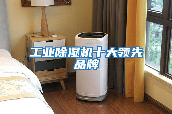 工業除濕機十大領先品牌