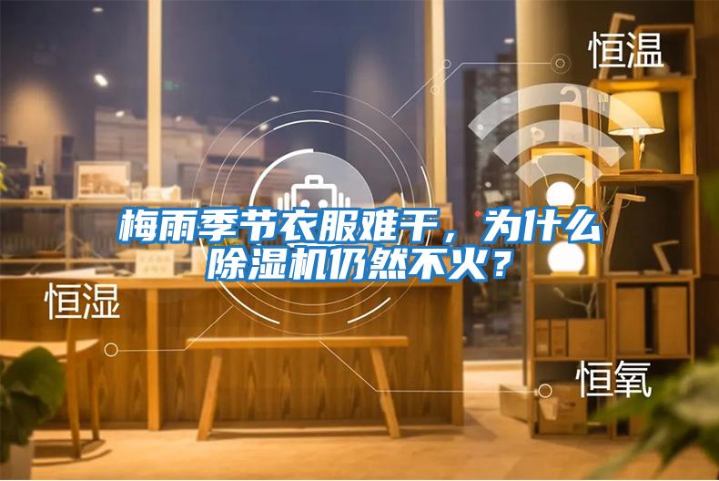 梅雨季節(jié)衣服難干,為什么除濕機仍然不火?