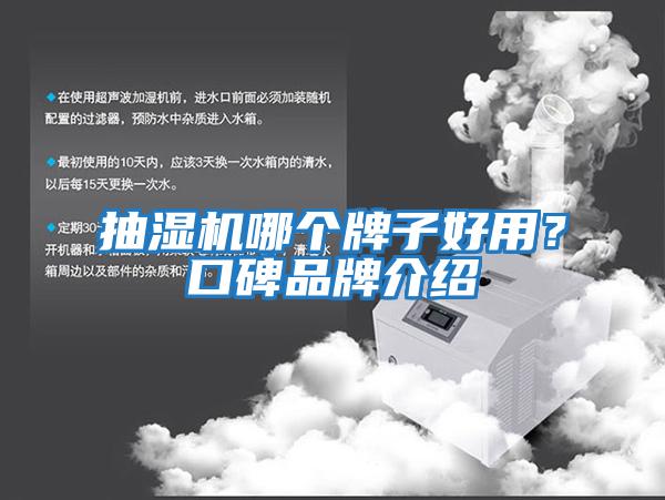 抽濕機哪個牌子好用？口碑品牌介紹