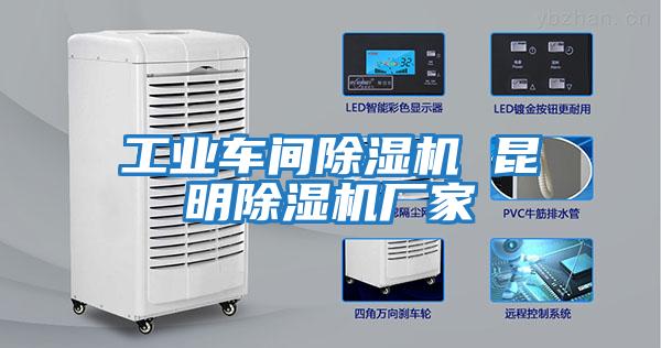 工業車間除濕機 昆明除濕機廠家