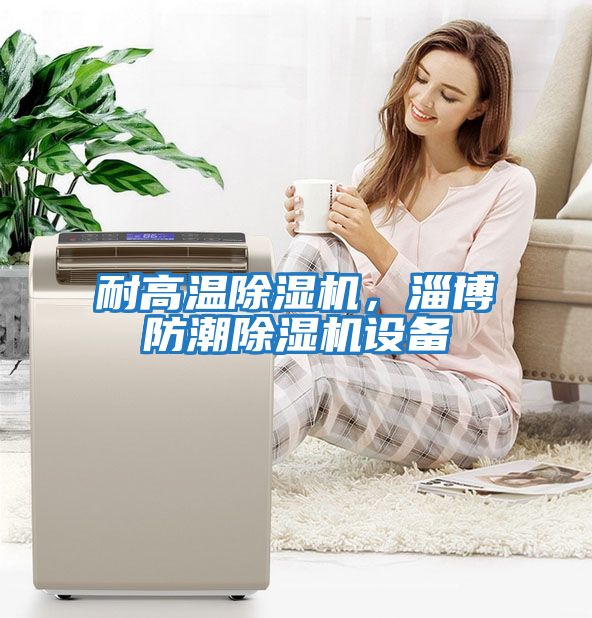 耐高溫除濕機，淄博防潮除濕機設備