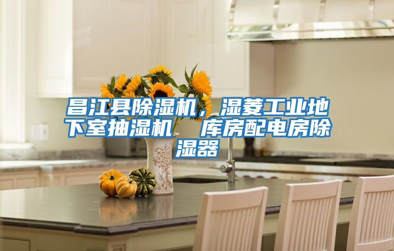 昌江縣除濕機(jī),濕菱工業(yè)地下室抽濕機(jī) 庫房配電房除濕器