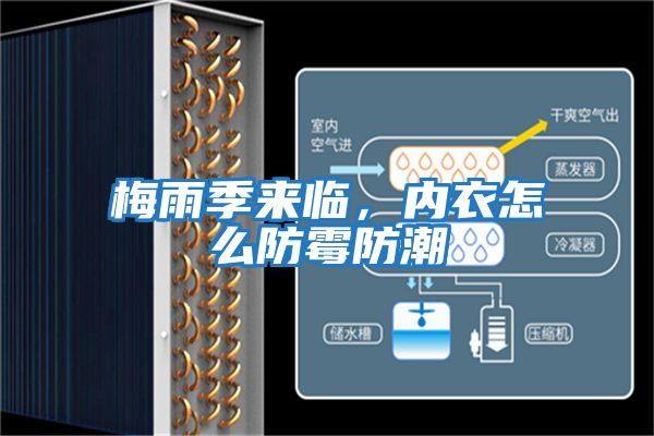梅雨季來臨，內衣怎么防霉防潮