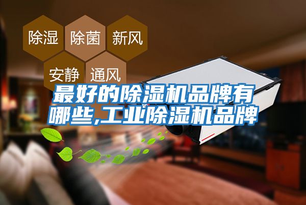 最好的除濕機品牌有哪些,工業除濕機品牌