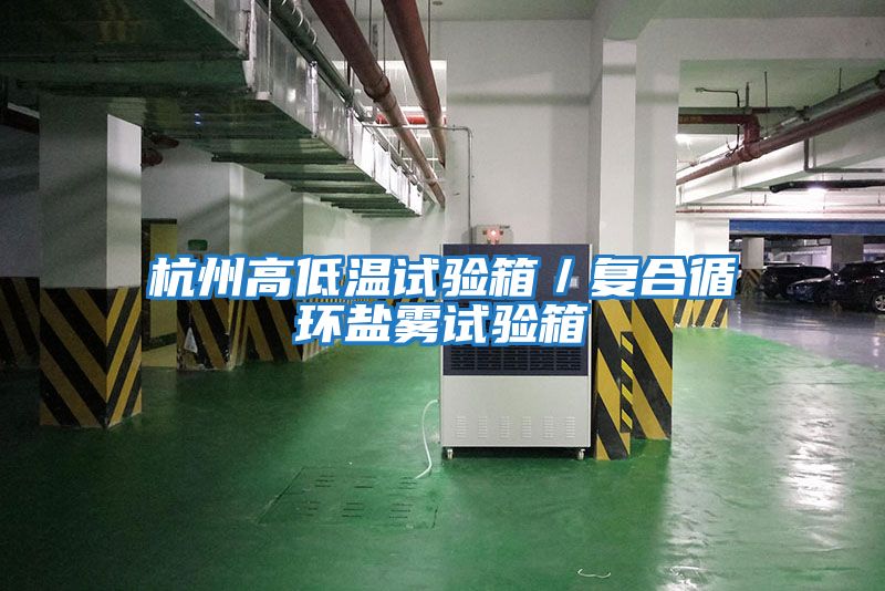 杭州高低溫試驗箱/復合循環鹽霧試驗箱