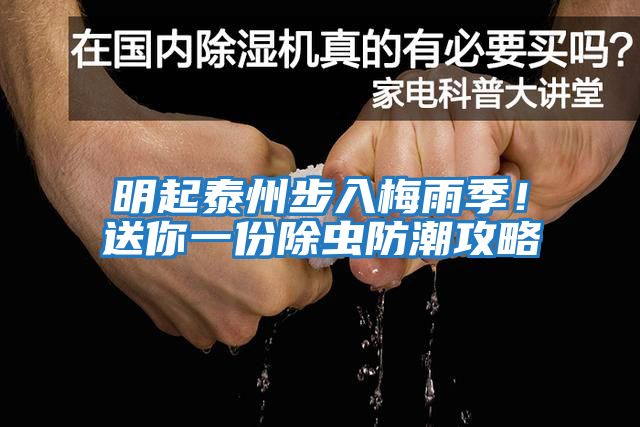 明起泰州步入梅雨季！送你一份除蟲防潮攻略