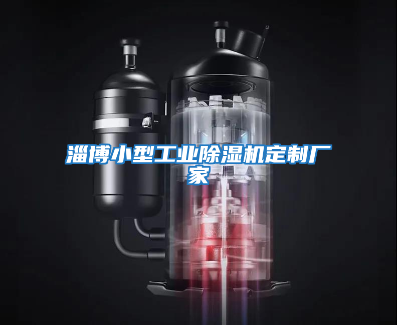 淄博小型工業除濕機定制廠家