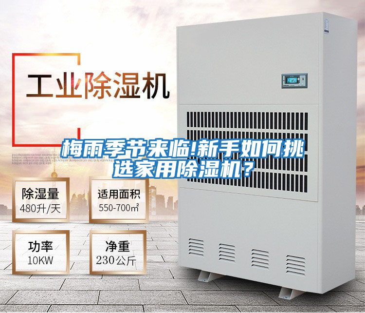 梅雨季節來臨!新手如何挑選家用除濕機？