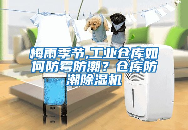 梅雨季節,工業倉庫如何防霉防潮？倉庫防潮除濕機