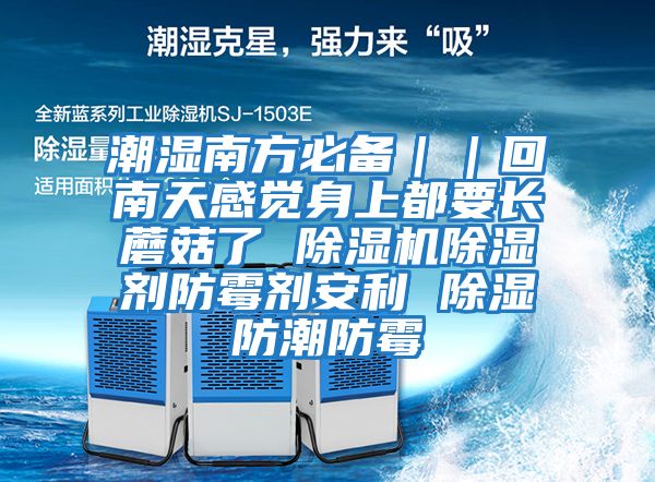 潮濕南方必備｜｜回南天感覺身上都要長蘑菇了 除濕機除濕劑防霉劑安利 除濕防潮防霉
