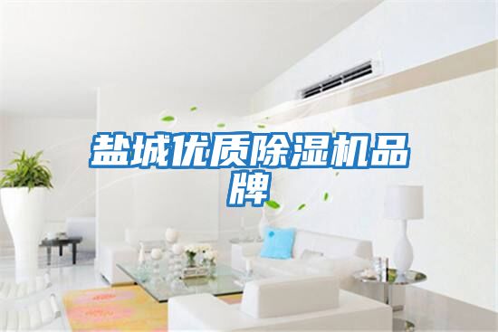 鹽城優質除濕機品牌
