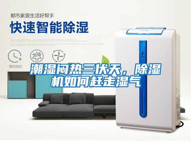 潮濕悶熱三伏天，除濕機如何趕走濕氣